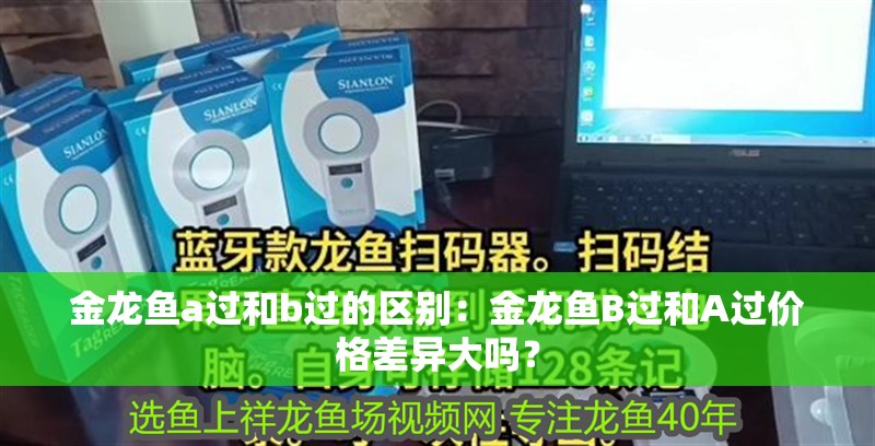 金龍魚a過和b過的區(qū)別：金龍魚B過和A過價格差異大嗎？