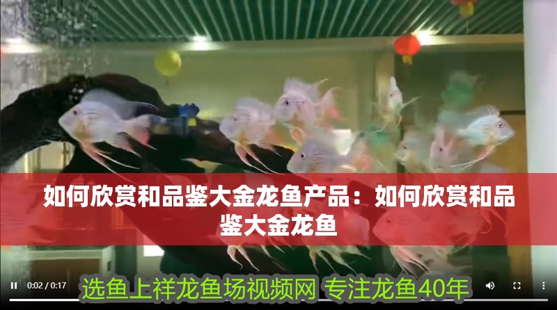 如何欣賞和品鑒大金龍魚產(chǎn)品：如何欣賞和品鑒大金龍魚