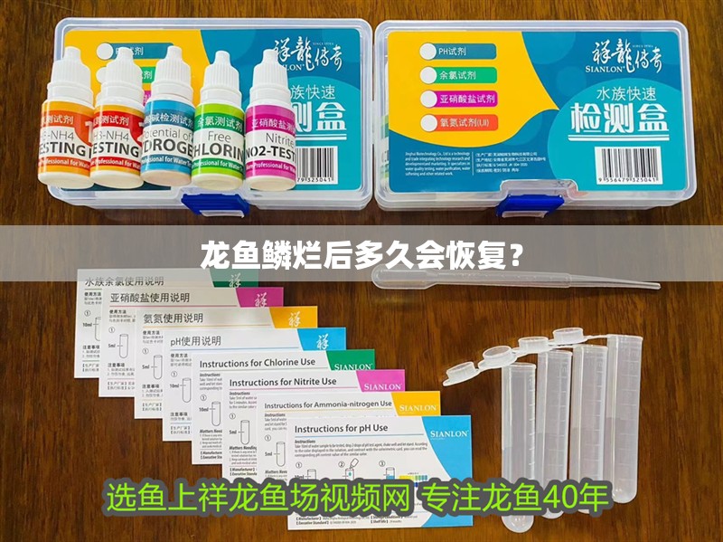 龍魚鱗爛后多久會恢復？