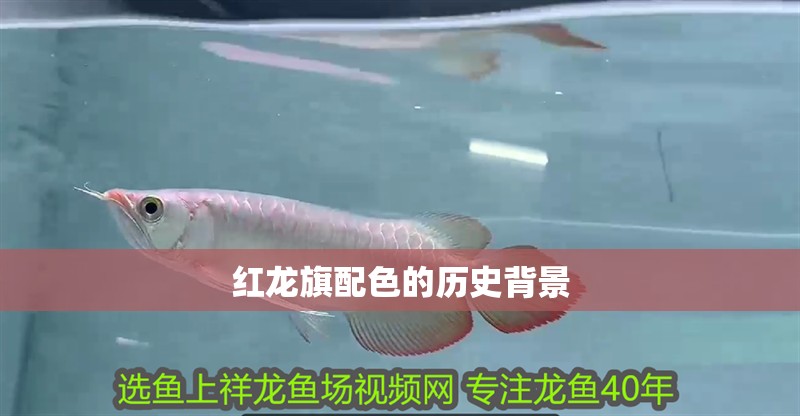 紅龍旗配色的歷史背景