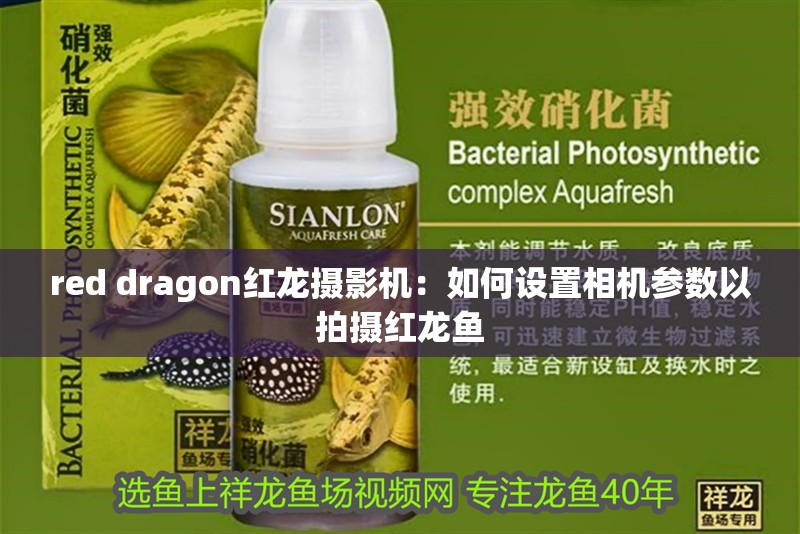 red dragon紅龍攝影機：如何設(shè)置相機參數(shù)以拍攝紅龍魚
