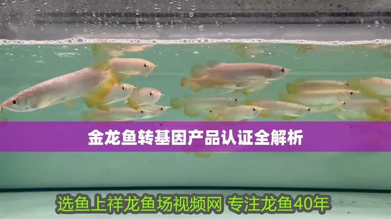 金龍魚轉(zhuǎn)基因產(chǎn)品認證全解析