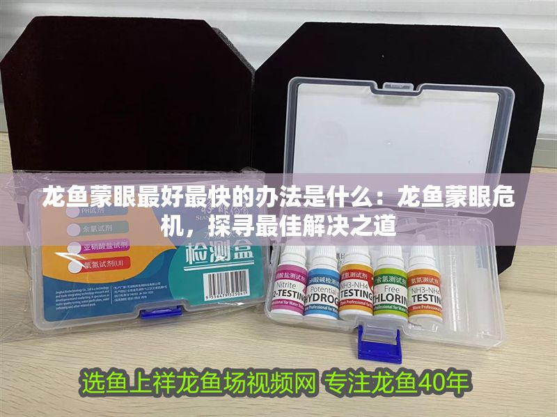 龍魚蒙眼最好最快的辦法是什么：龍魚蒙眼危機，探尋最佳解決之道