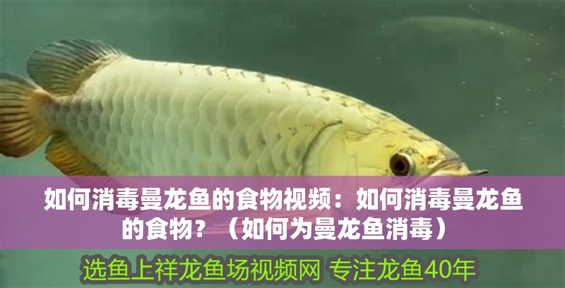 如何消毒曼龍魚的食物視頻：如何消毒曼龍魚的食物？（如何為曼龍魚消毒）