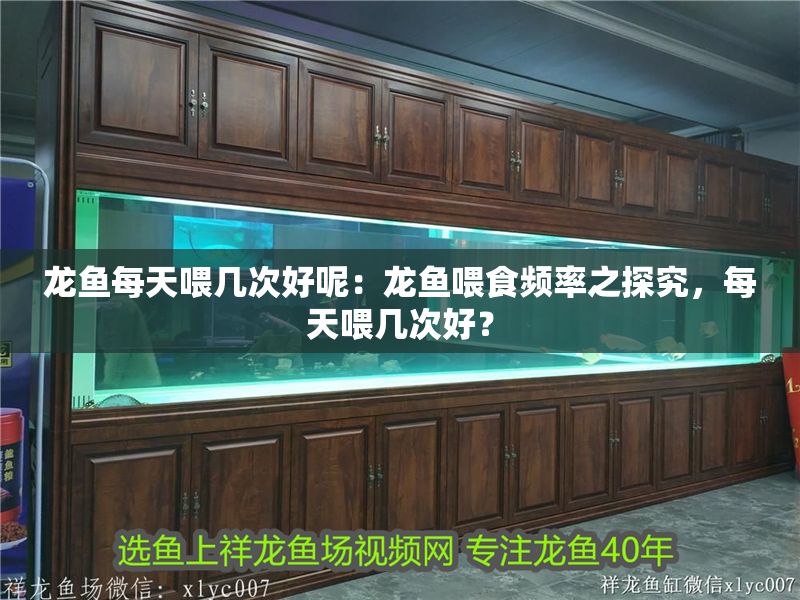 龍魚每天喂幾次好呢：龍魚喂食頻率之探究，每天喂幾次好？