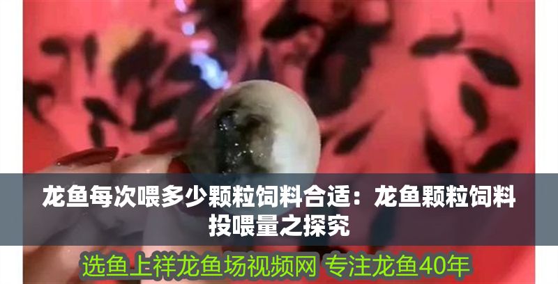 龍魚每次喂多少顆粒飼料合適：龍魚顆粒飼料投喂量之探究
