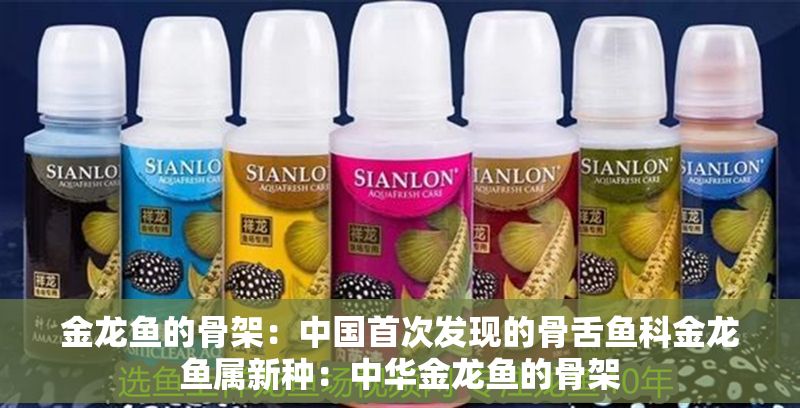 金龍魚的骨架：中國首次發現的骨舌魚科金龍魚屬新種：中華金龍魚的骨架