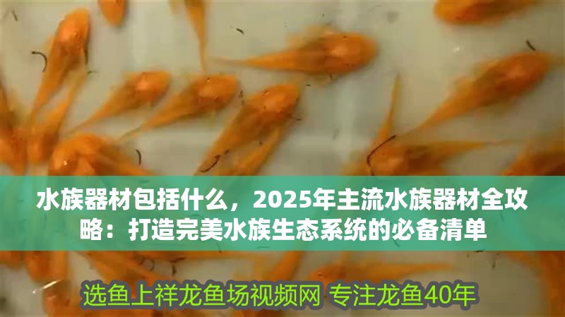 水族器材包括什么，2025年主流水族器材全攻略：打造完美水族生態(tài)系統(tǒng)的必備清單