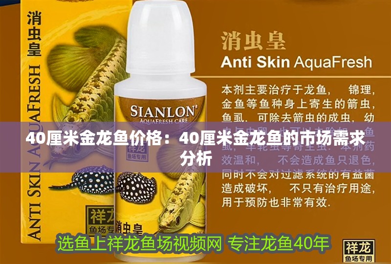 40厘米金龍魚價格：40厘米金龍魚的市場需求分析