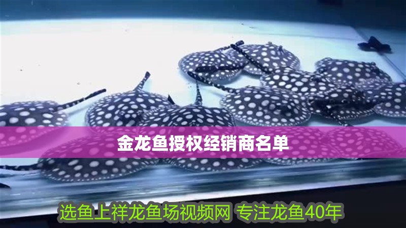 金龍魚授權經銷商名單