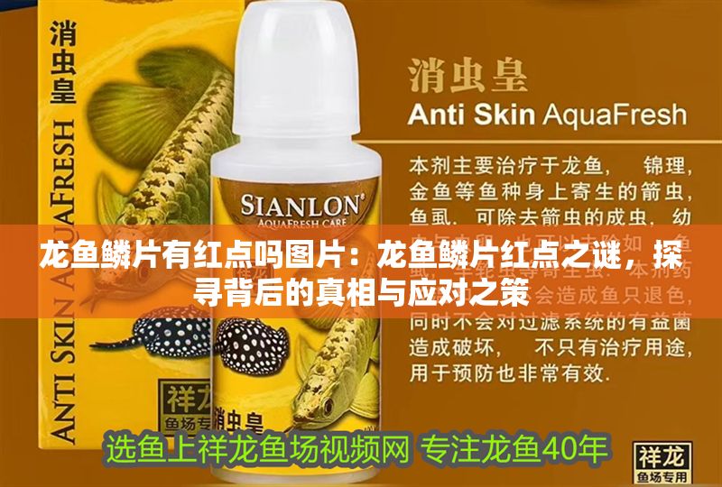 龍魚鱗片有紅點(diǎn)嗎圖片：龍魚鱗片紅點(diǎn)之謎，探尋背后的真相與應(yīng)對(duì)之策