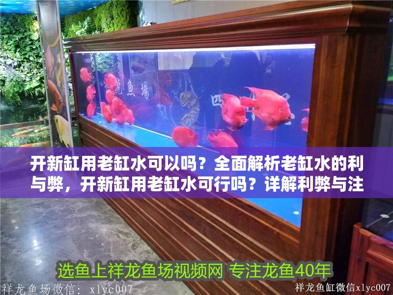 開新缸用老缸水可以嗎？全面解析老缸水的利與弊，開新缸用老缸水可行嗎？詳解利弊與注意事項