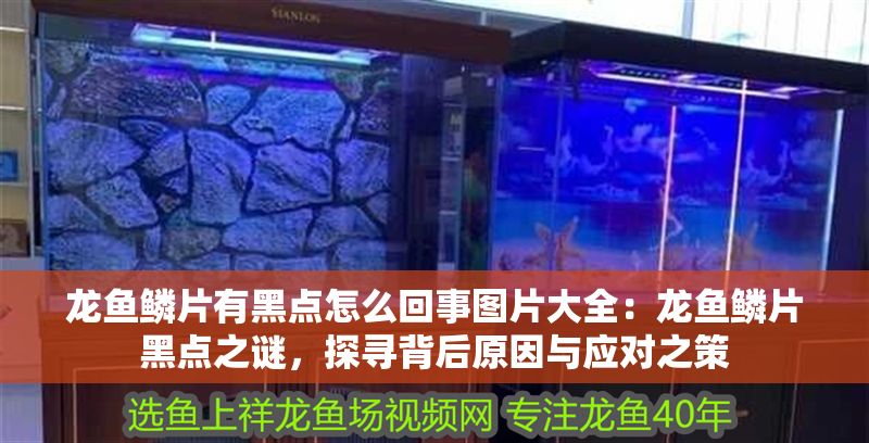 龍魚鱗片有黑點怎么回事圖片大全：龍魚鱗片黑點之謎，探尋背后原因與應對之策
