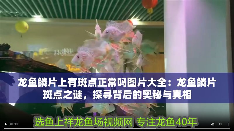 龍魚鱗片上有斑點正常嗎圖片大全：龍魚鱗片斑點之謎，探尋背后的奧秘與真相