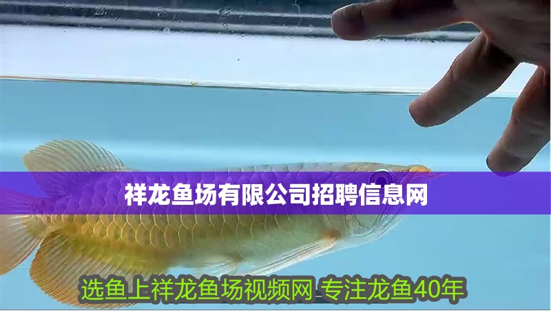 祥龍魚場有限公司招聘信息網