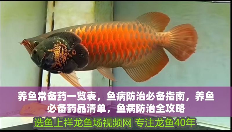 養魚常備藥一覽表，魚病防治必備指南，養魚必備藥品清單，魚病防治全攻略