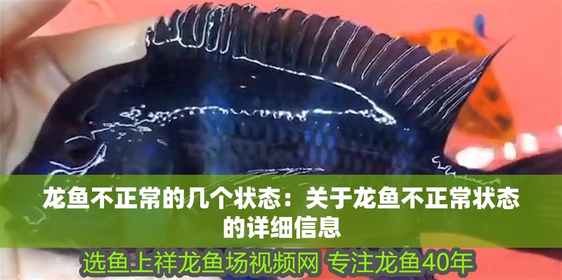 龍魚不正常的幾個(gè)狀態(tài)：關(guān)于龍魚不正常狀態(tài)的詳細(xì)信息 龍魚不正常的幾個(gè)狀態(tài)：關(guān)于龍魚不正常狀態(tài)的詳細(xì)信息 龍魚百科