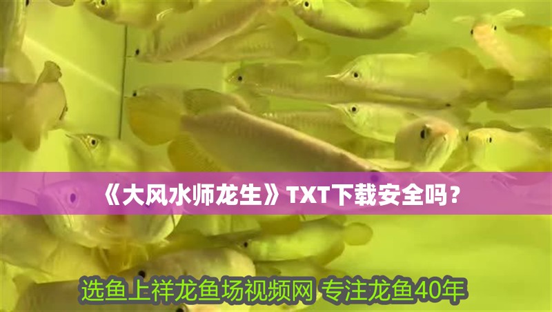 《大風水師龍生》TXT下載安全嗎？