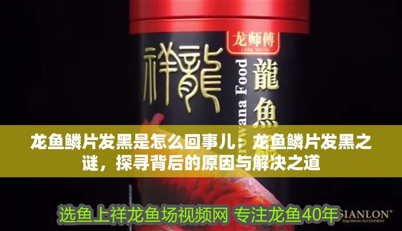 龍魚鱗片發黑是怎么回事兒：龍魚鱗片發黑之謎，探尋背后的原因與解決之道