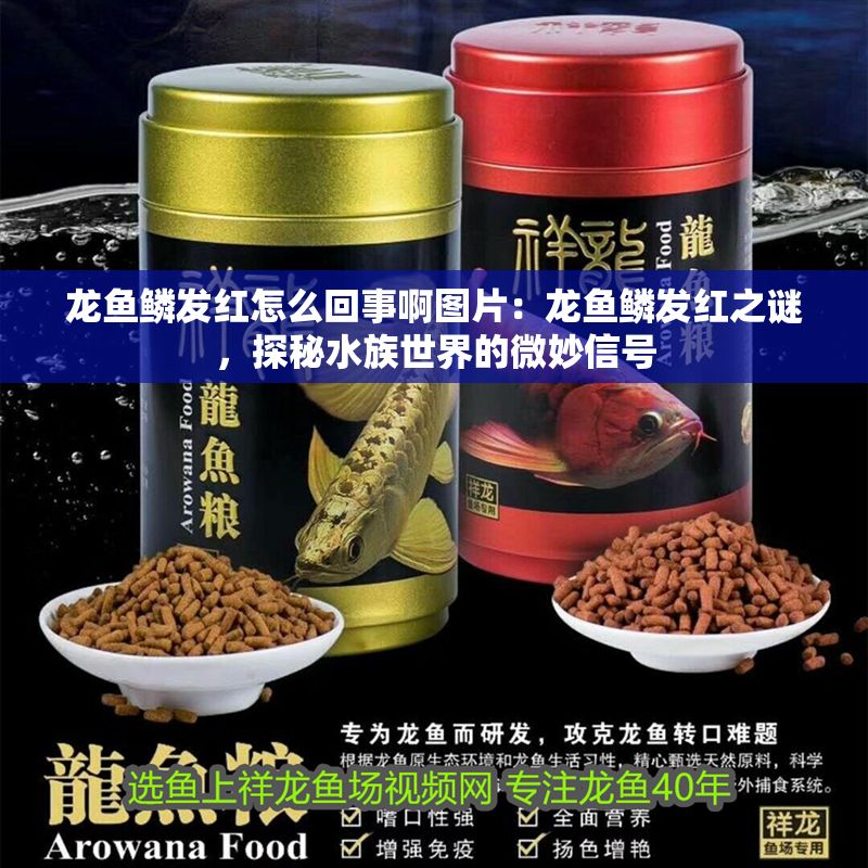 龍魚鱗發(fā)紅怎么回事啊圖片：龍魚鱗發(fā)紅之謎，探秘水族世界的微妙信號