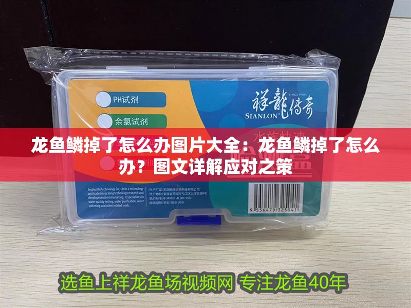 龍魚鱗掉了怎么辦圖片大全：龍魚鱗掉了怎么辦？圖文詳解應對之策