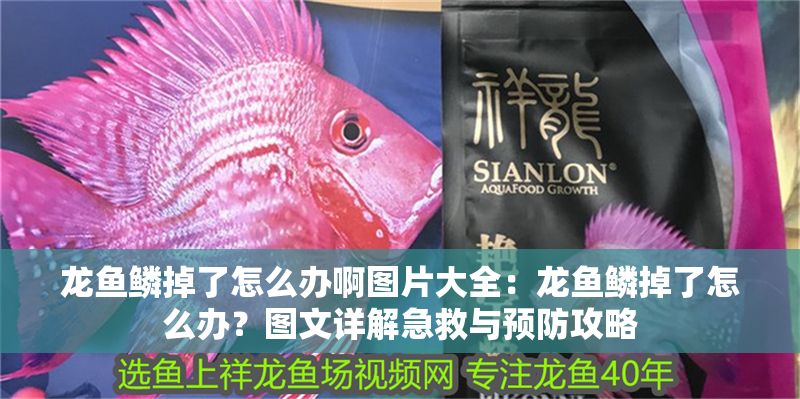 龍魚鱗掉了怎么辦啊圖片大全：龍魚鱗掉了怎么辦？圖文詳解急救與預防攻略