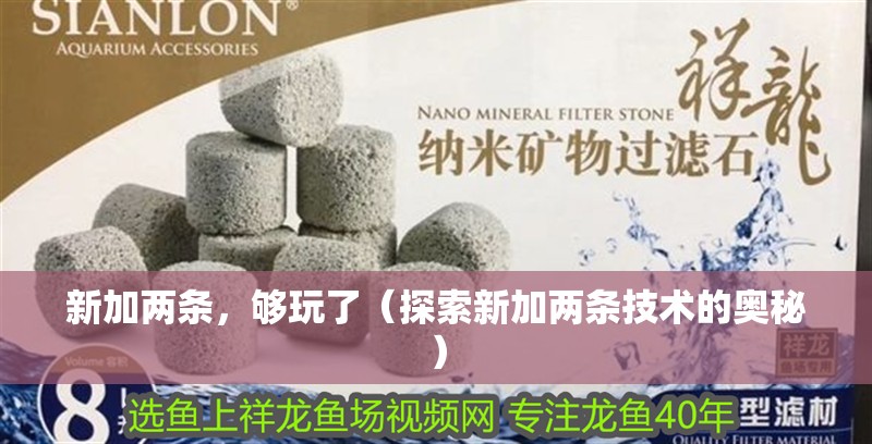 新加兩條，夠玩了（探索新加兩條技術的奧秘） 新加兩條，夠玩了（探索新加兩條技術的奧秘） 龍魚論壇