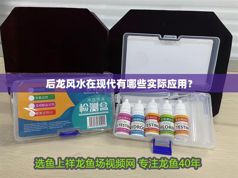 后龍風水在現代有哪些實際應用？