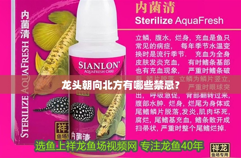 龍頭朝向北方有哪些禁忌？