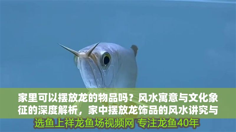 家里可以擺放龍的物品嗎？風水寓意與文化象征的深度解析，家中擺放龍飾品的風水講究與文化寓意全解析
