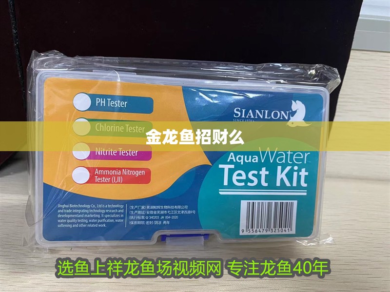 金龍魚(yú)招財(cái)么 金龍魚(yú)招財(cái)么 龍魚(yú)百科
