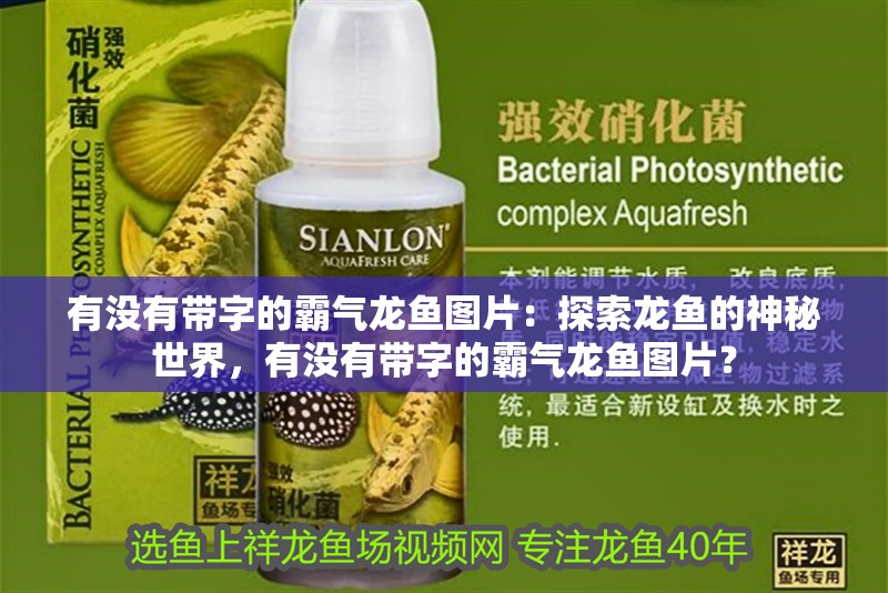 有沒有帶字的霸氣龍魚圖片：探索龍魚的神秘世界，有沒有帶字的霸氣龍魚圖片？