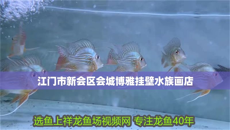 江門(mén)市新會(huì)區(qū)會(huì)城博雅掛壁水族畫(huà)店