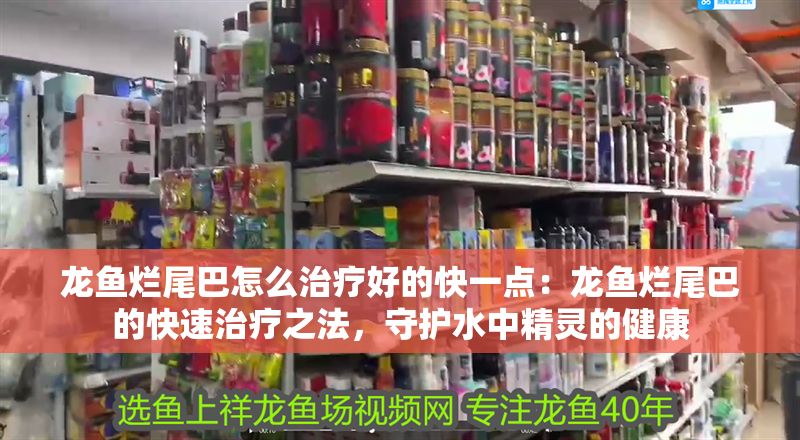 龍魚(yú)爛尾巴怎么治療好的快一點(diǎn)：龍魚(yú)爛尾巴的快速治療之法，守護(hù)水中精靈的健康