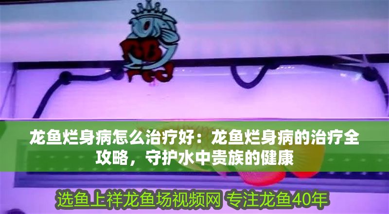 龍魚爛身病怎么治療好：龍魚爛身病的治療全攻略，守護(hù)水中貴族的健康