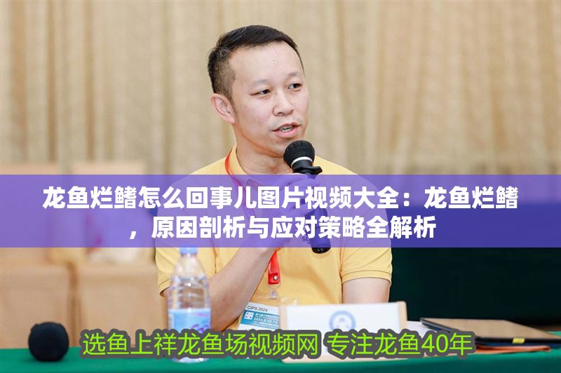 龍魚爛鰭怎么回事兒圖片視頻大全：龍魚爛鰭，原因剖析與應對策略全解析