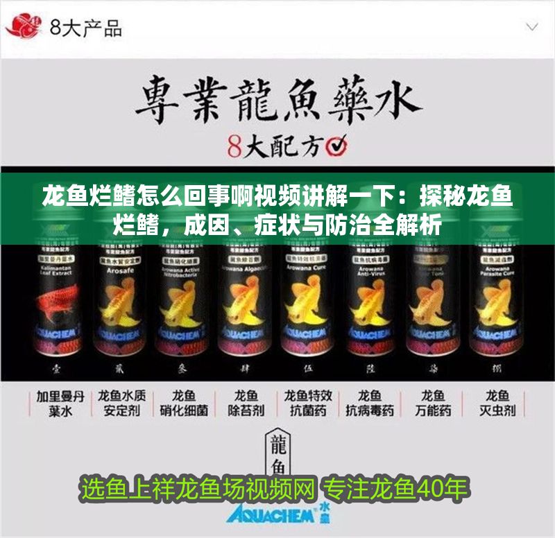 龍魚爛鰭怎么回事啊視頻講解一下：探秘龍魚爛鰭，成因、癥狀與防治全解析