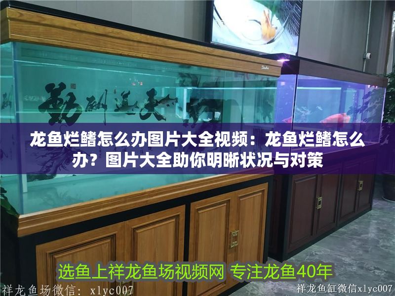 龍魚爛鰭怎么辦圖片大全視頻：龍魚爛鰭怎么辦？圖片大全助你明晰狀況與對策