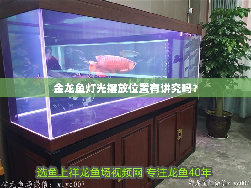 金龍魚燈光擺放位置有講究嗎？