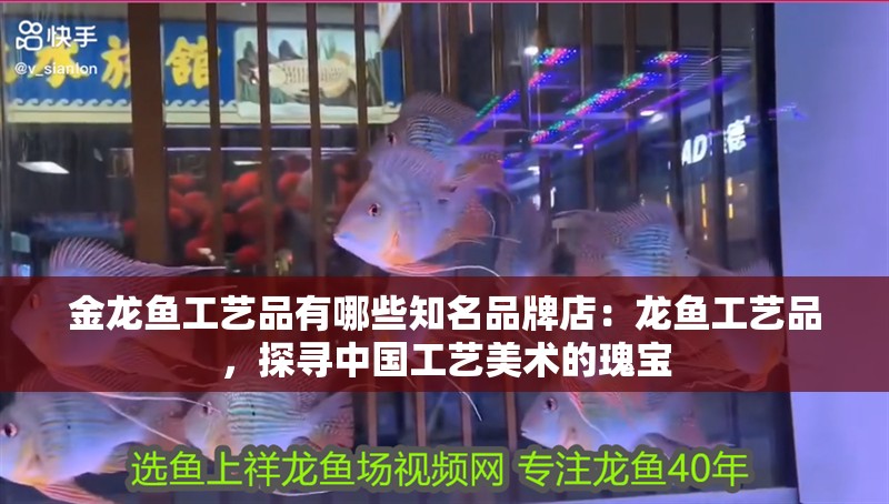 金龍魚工藝品有哪些知名品牌店：龍魚工藝品，探尋中國工藝美術的瑰寶