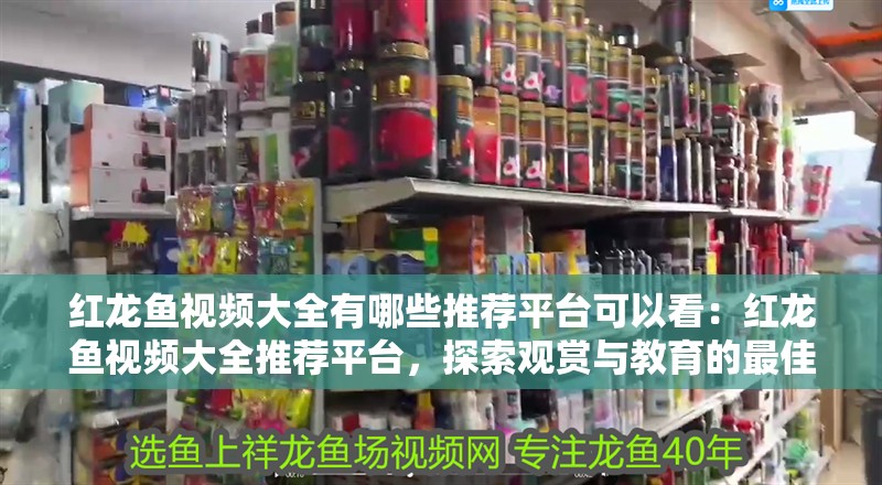 紅龍魚視頻大全有哪些推薦平臺可以看：紅龍魚視頻大全推薦平臺，探索觀賞與教育的最佳資源