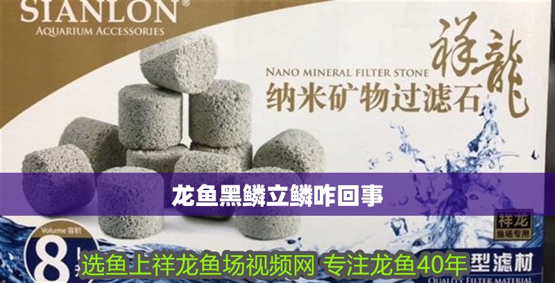 龍魚黑鱗立鱗咋回事