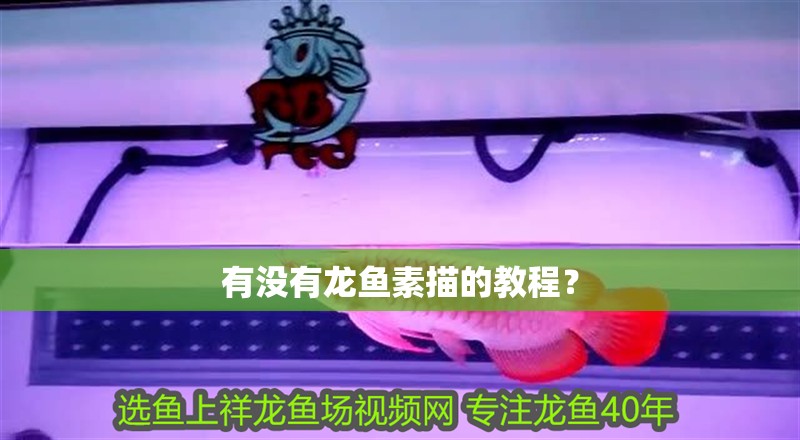 有沒(méi)有龍魚素描的教程？