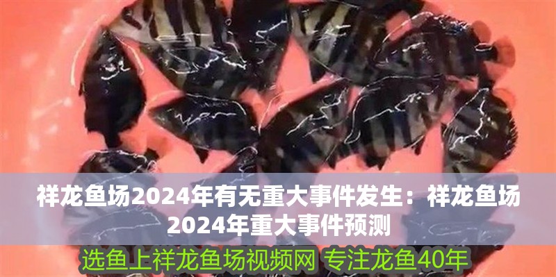 祥龍魚(yú)場(chǎng)2024年有無(wú)重大事件發(fā)生：祥龍魚(yú)場(chǎng)2024年重大事件預(yù)測(cè)
