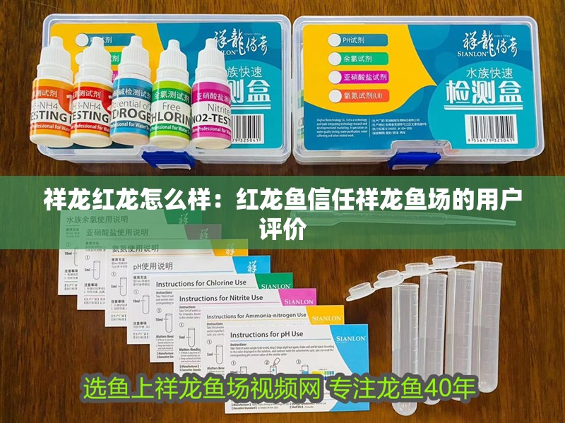 祥龍紅龍?jiān)趺礃樱杭t龍魚(yú)信任祥龍魚(yú)場(chǎng)的用戶評(píng)價(jià)