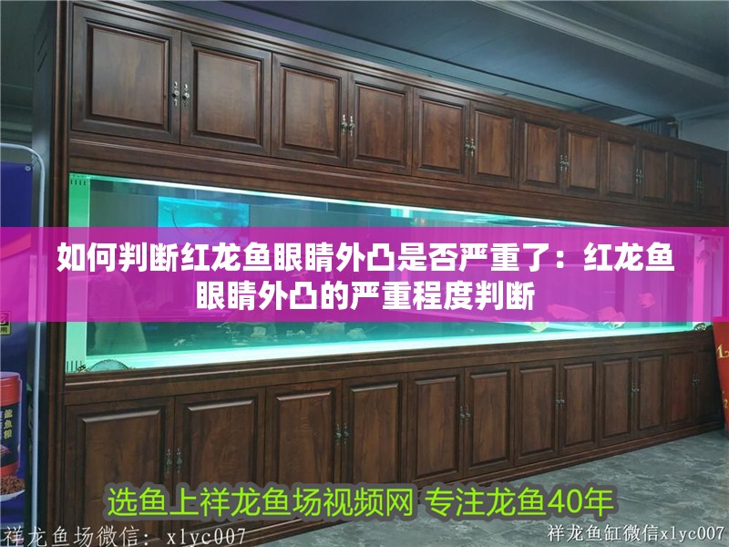 如何判斷紅龍魚眼睛外凸是否嚴重了：紅龍魚眼睛外凸的嚴重程度判斷 如何判斷紅龍魚眼睛外凸是否嚴重了：紅龍魚眼睛外凸的嚴重程度判斷 水族問答