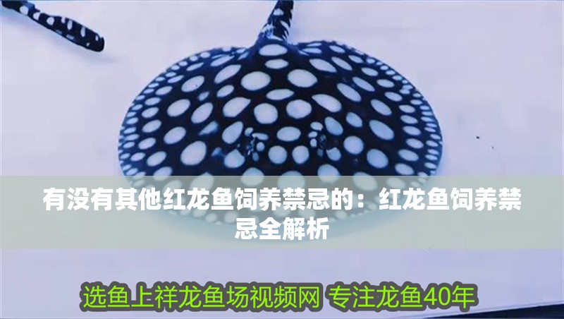 有沒有其他紅龍魚飼養(yǎng)禁忌的：紅龍魚飼養(yǎng)禁忌全解析