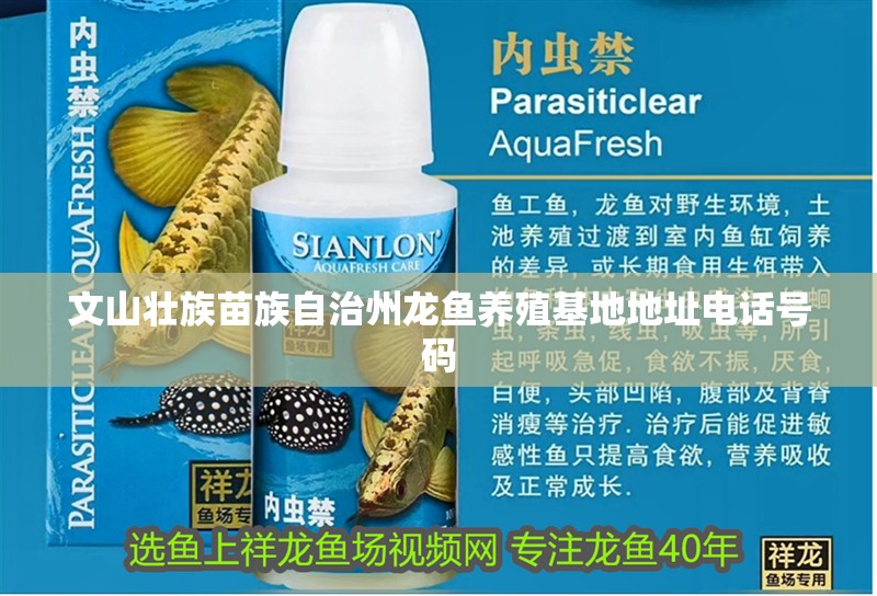 文山壯族苗族自治州龍魚養殖基地地址電話號碼 文山壯族苗族自治州龍魚養殖基地地址電話號碼 龍魚百科