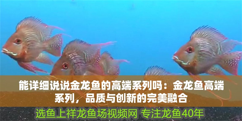 能詳細說說金龍魚的高端系列嗎：金龍魚高端系列，品質與創新的完美融合