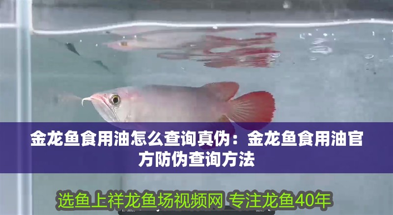 金龍魚特香濃香哪個好：金龍魚特香濃香哪個好金龍魚濃香濃香哪個好